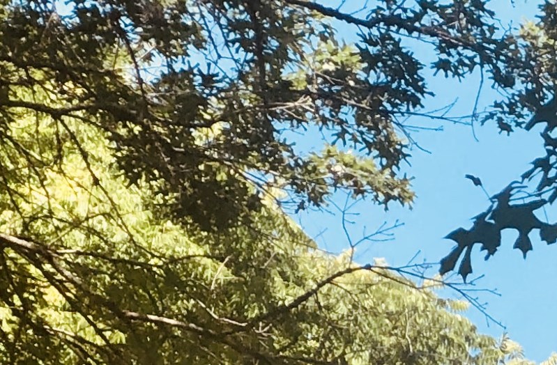 Algarita Lakeside Apartments | Apartments in San Antonio, TX